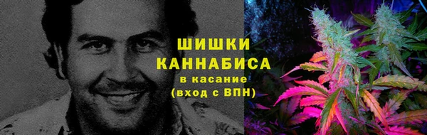 мяу мяу мука Магадан